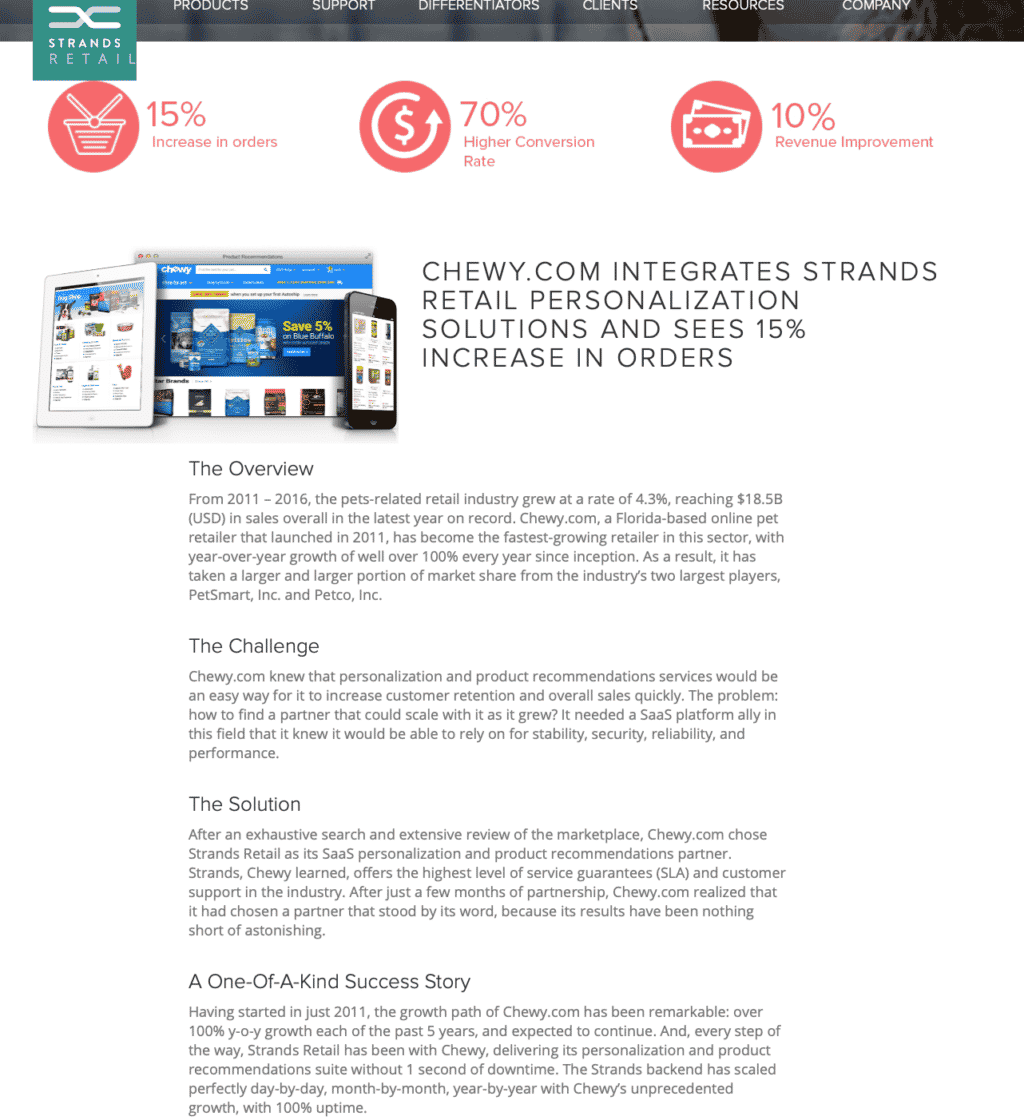 Case Study Examples: Strands Retail