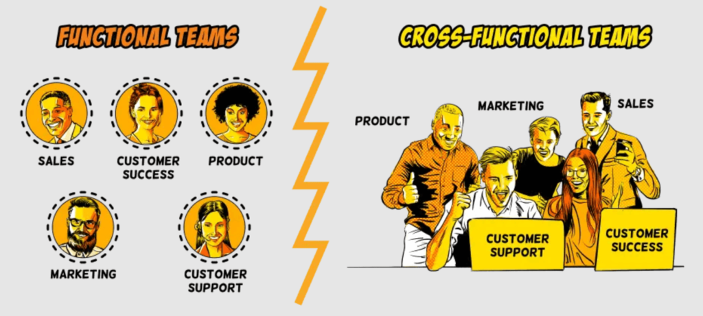 Illustration About How Functional Teams Differ From Cross-Functional Teams