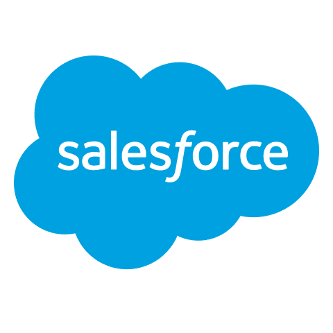 Platform Salesforce Icon