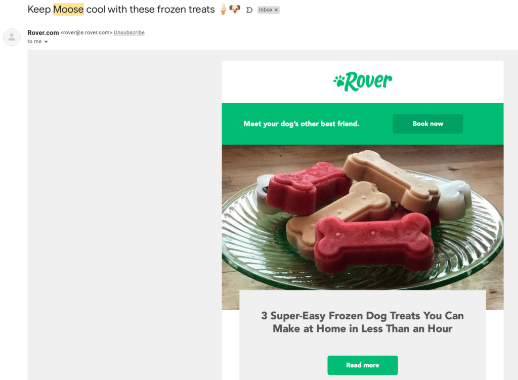 Personalization In Marketing In Action: A Screenshot Of A Personalized Email From Rover